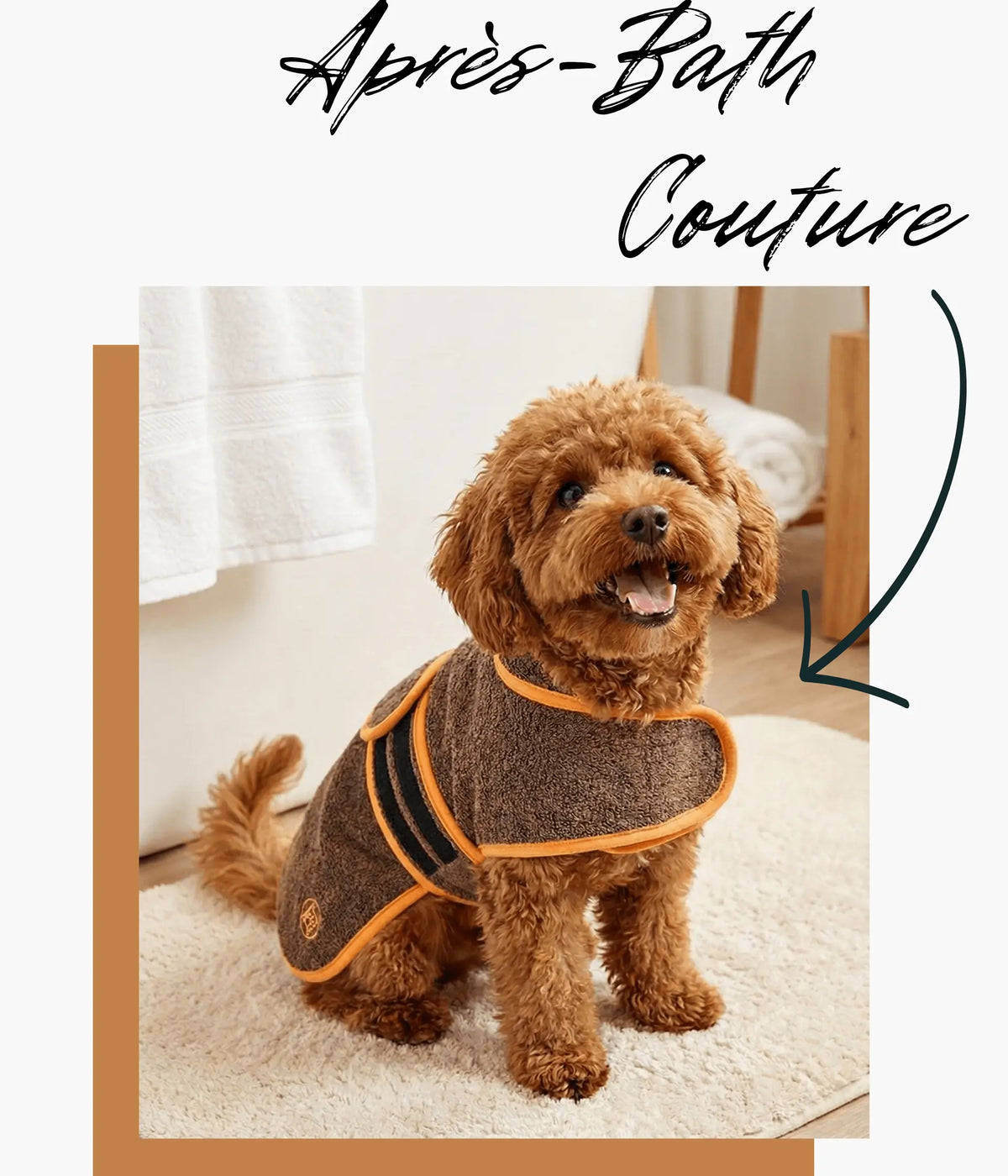 Wellness für deinen Hund. Design für dein Zuhause.