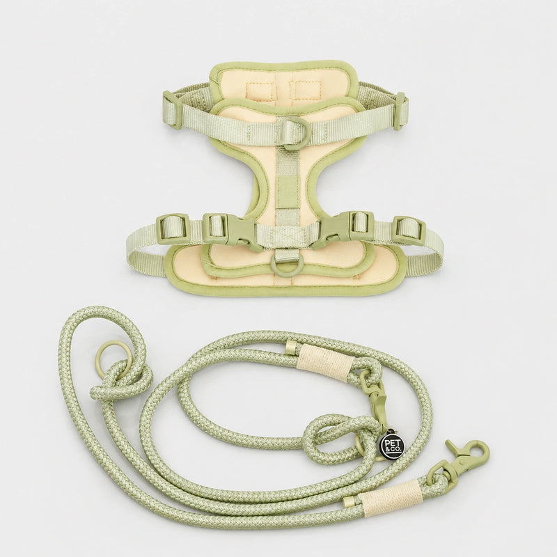 Ben Harness &amp; Leash Set