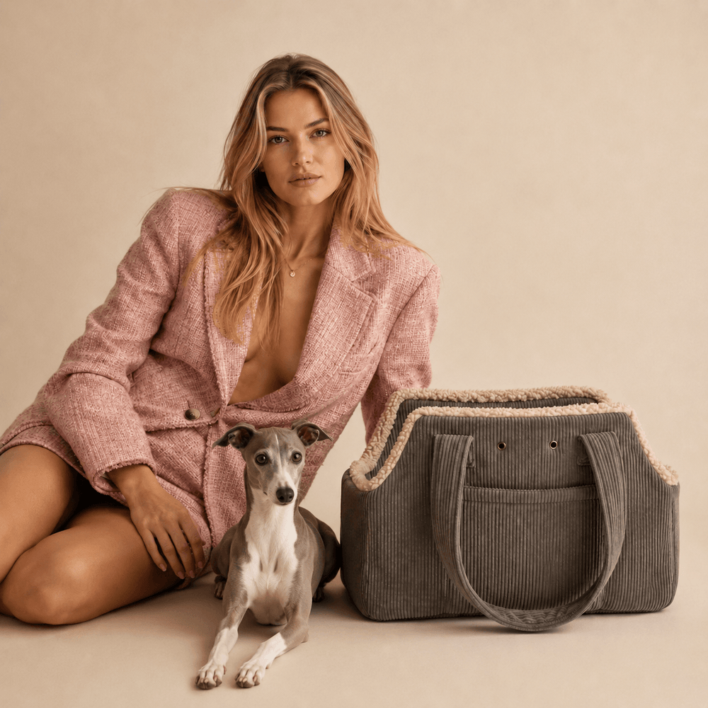 Le meilleur compagnon pour ton chien