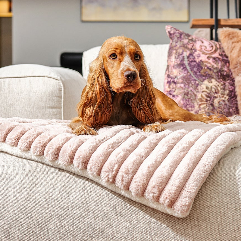 Couverture paresseuse