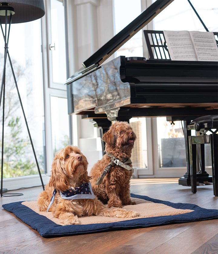 Comfortable and practical mat - gino